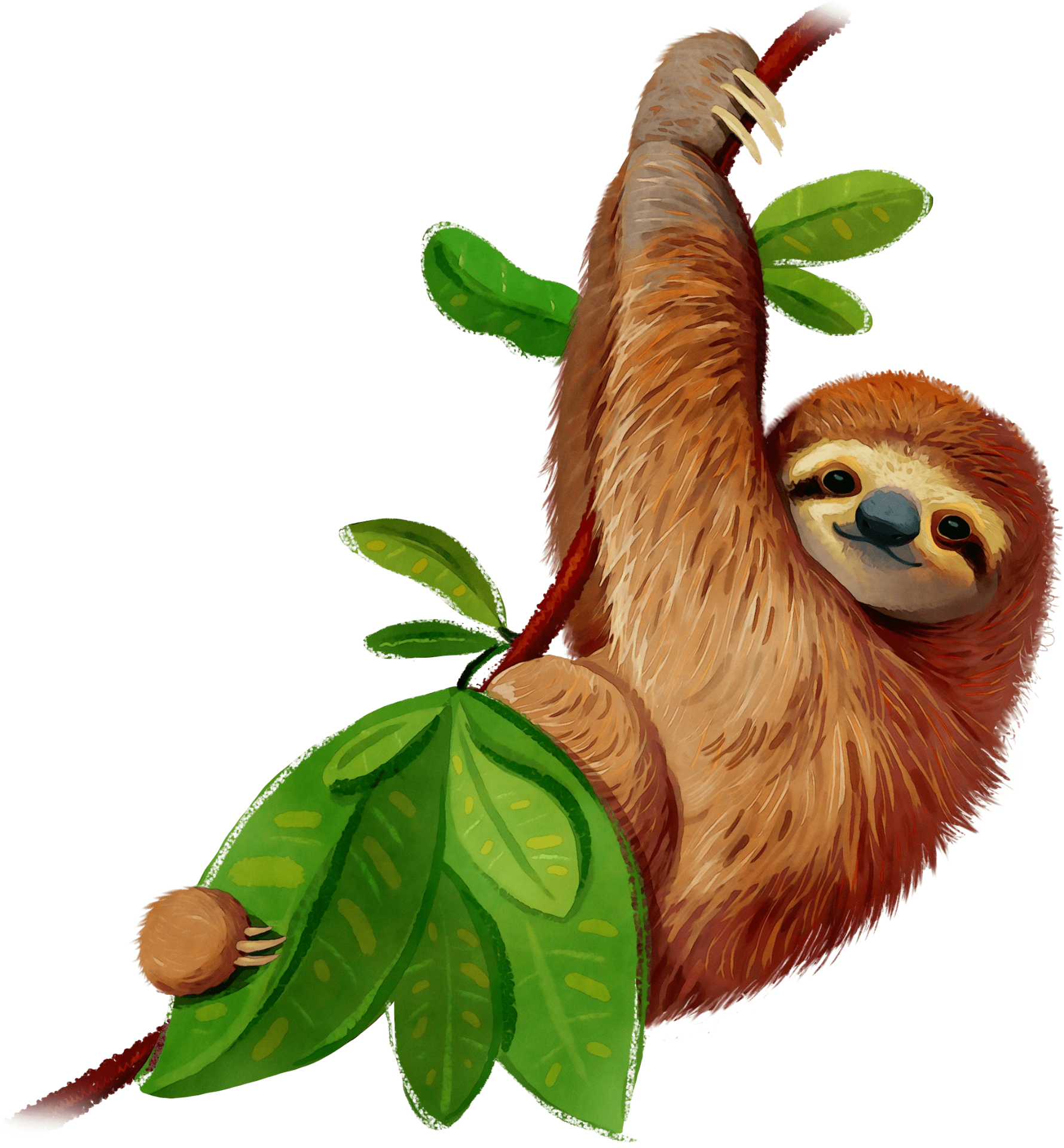 Traslados nacionales en Costa Rica, Costa Rican national transfers, העברות לאומיות בקוסטה ריקה