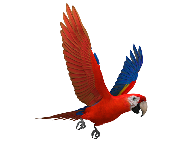 Traslados nacionales en Costa Rica, Costa Rican national transfers, העברות לאומיות בקוסטה ריקה